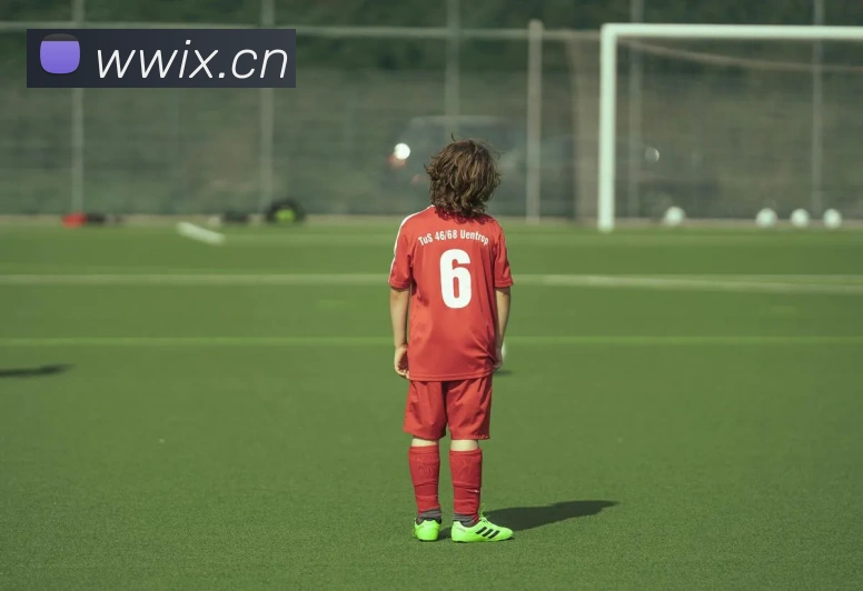 开云在线官网登录发展历程